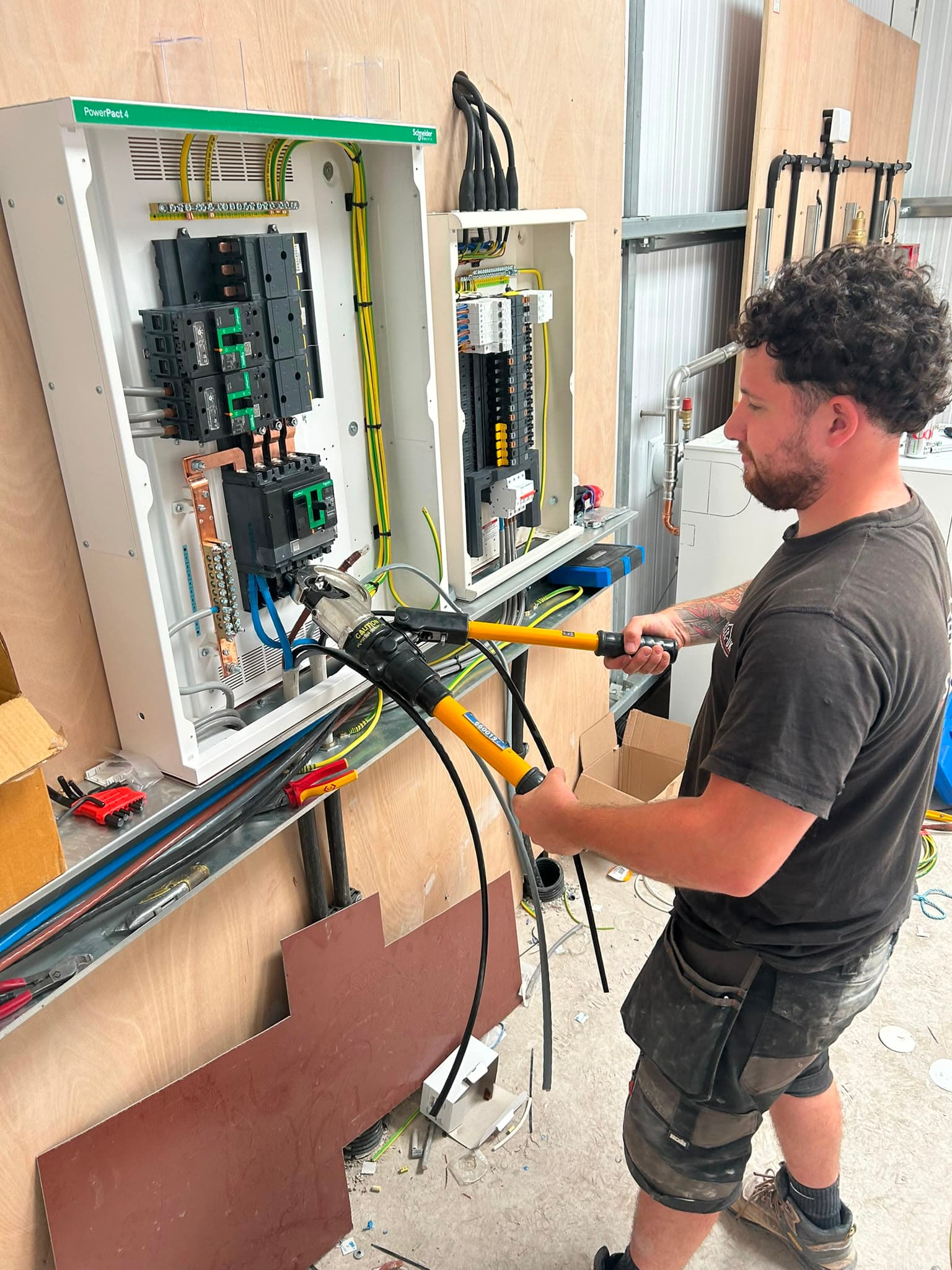 Professional Electrical Services